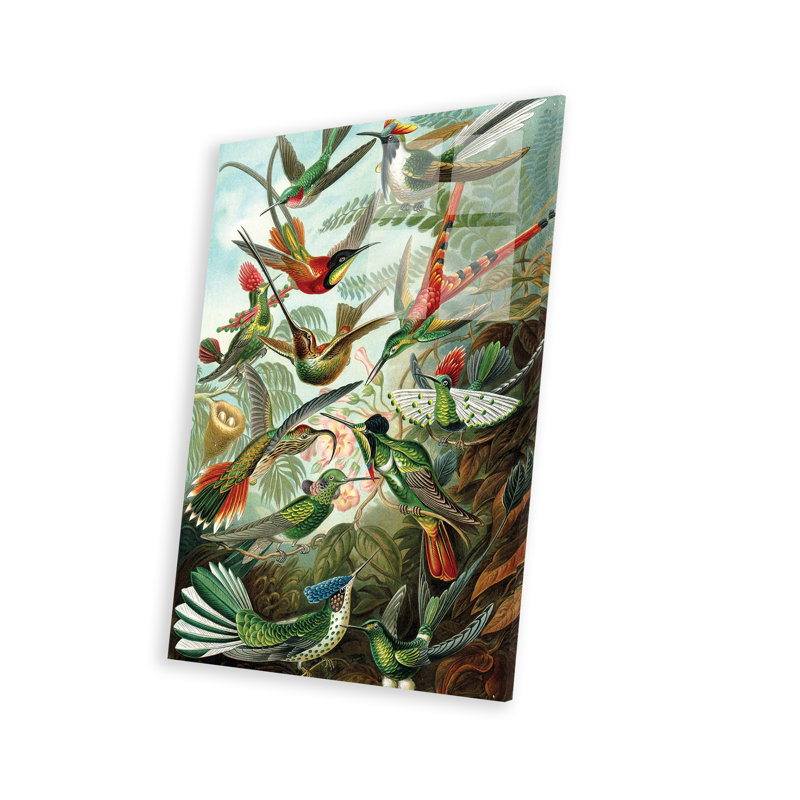 " Haeckel Hummingbirds " by PatentPrintStore