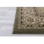 Oriental Area Rug in Green/Brown