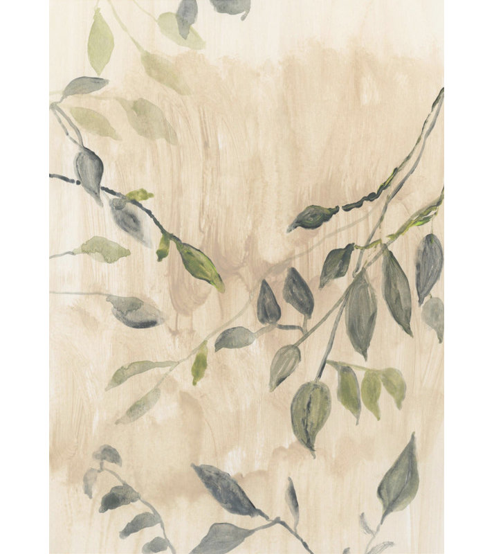 Couleur délavée des feuilles No1
