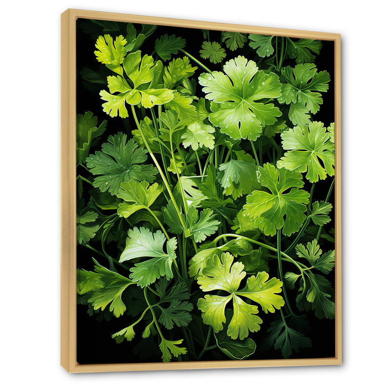 Herbes, coriandre, éclaboussure 4 - Art floral, Cadre flottant brun, H 32 po x l 24 po