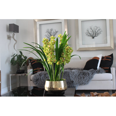 Fabric and Silk Orchid Faux Floral Arrangement in Basket