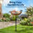 Polyresin Oval Bird Bath Bowl with Solar Fountain-1138497238