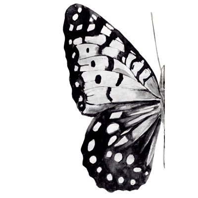 Monochrome Wings I - Wrapped Canvas Painting