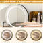 Coiffeuse à maquillage de style américain avec lumières à DEL, 2 grands tiroirs, rangement ouvert et luminosité réglable, brun, tablettes de rangement de construction, prise de courant, ports,