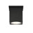 Arena 100 Ceiling Mount, 14W, Black Finish