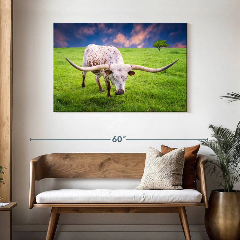 Brampt White Longhorn, 30" H x 45" W