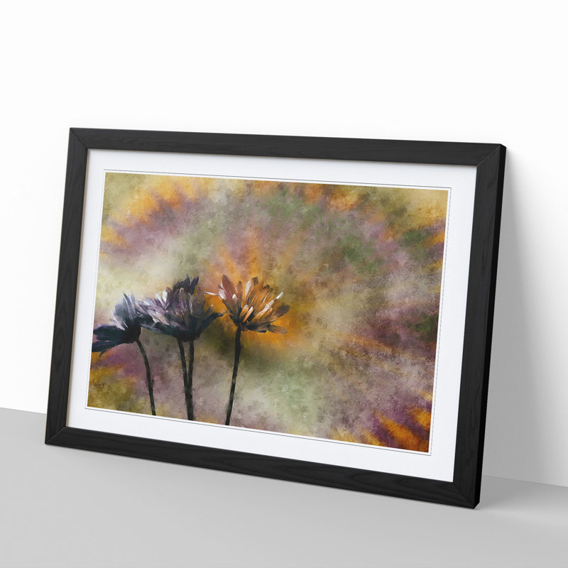 Three Daisies - Picture Frame Graphic Art, Black, 48cm H x 65cm W x 2cm D