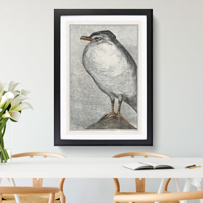 Herring Gull by Theo Van Hoytema - Framed Print