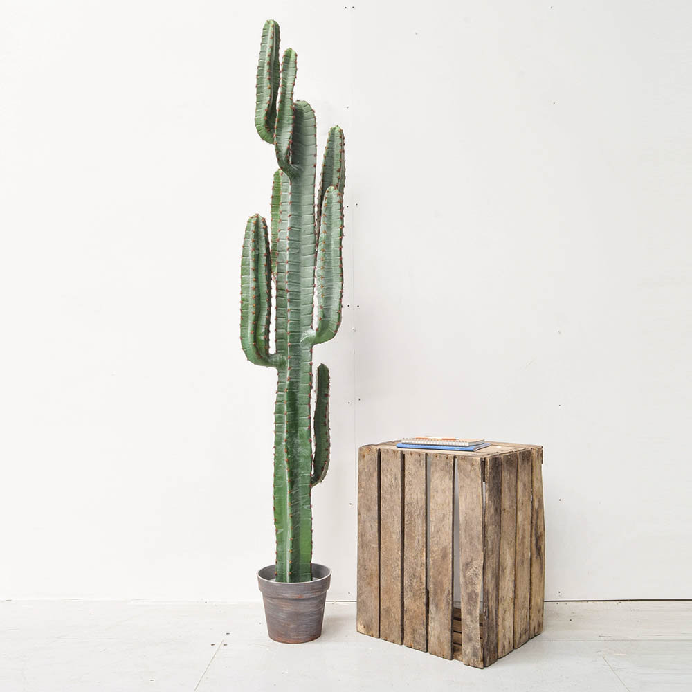 Artificial Cactus Succulent in Planter
