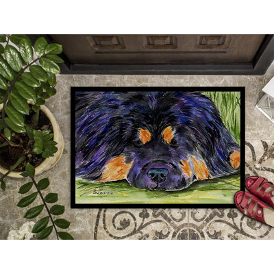 Non-Slip Indoor Doormat