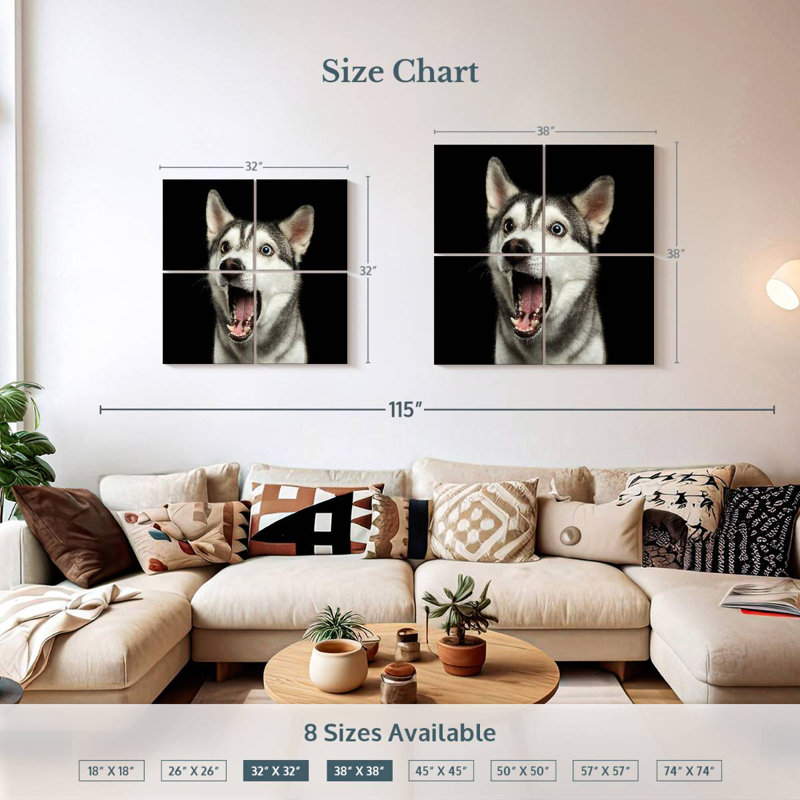 Brampt Surprised Siberian Husky, 38" H x 38" W