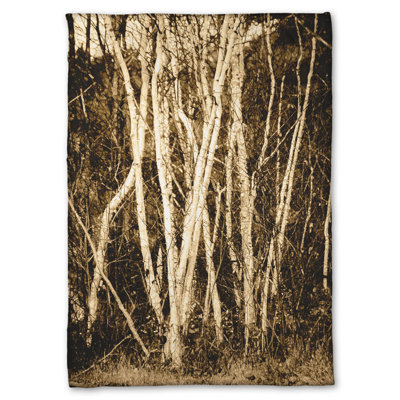 Coral Fleece Blanket, Autumn Birch by Hal Halli