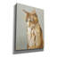 "Epic Graffiti" Lap Cat 2 "par Chariklia Zarris, art mural sur toile, 12 po x 16 po