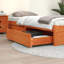 Devany Underbed Storage Drawers-19036571