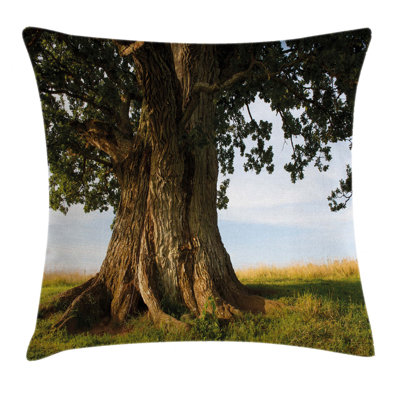 Outdoor Pillow Cover
