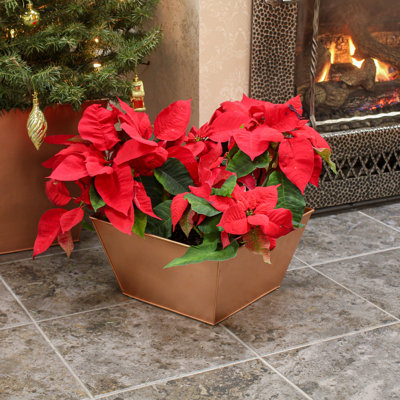 Metal Planter Box