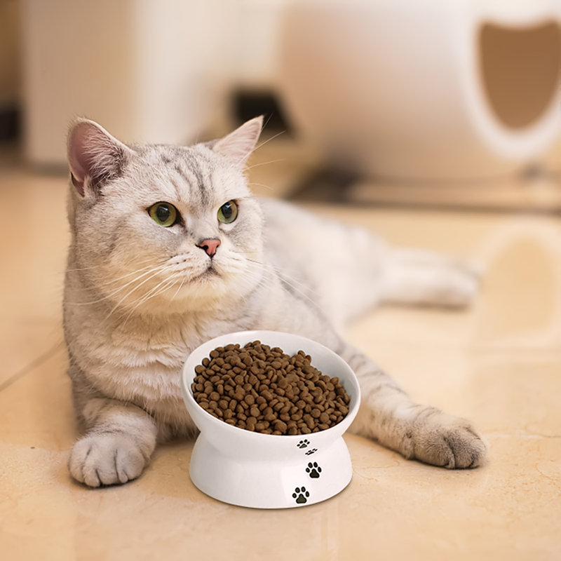 Bol à chat, Blanc