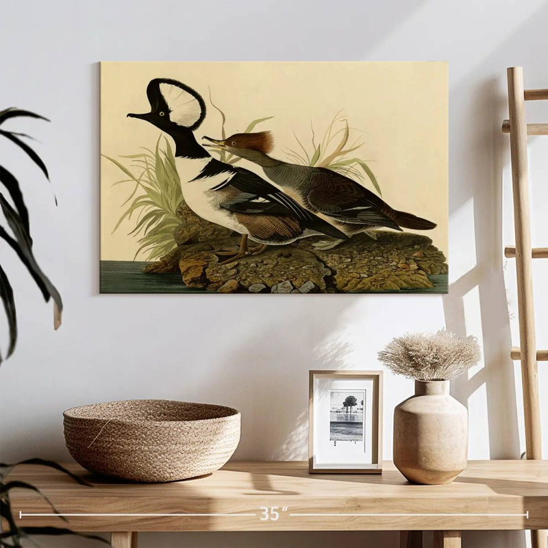 Hooded Merganser, 16" H x 24" W