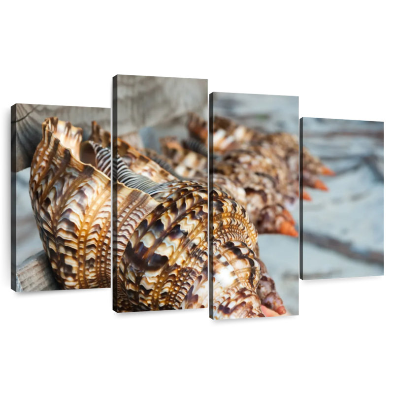 Coquillages