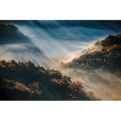 Brume matinale dans la forêt par Casarsaguri