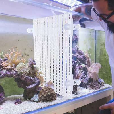 4 pièces Aquarium Divider Tray Egg Grid