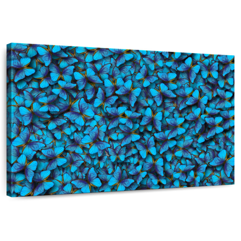 Crowle Blue Butterfly Pattern
