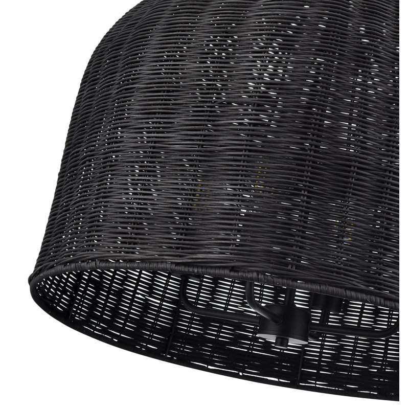 Dejanea 24.25" Wide 4-Light Pendant , Black, Black