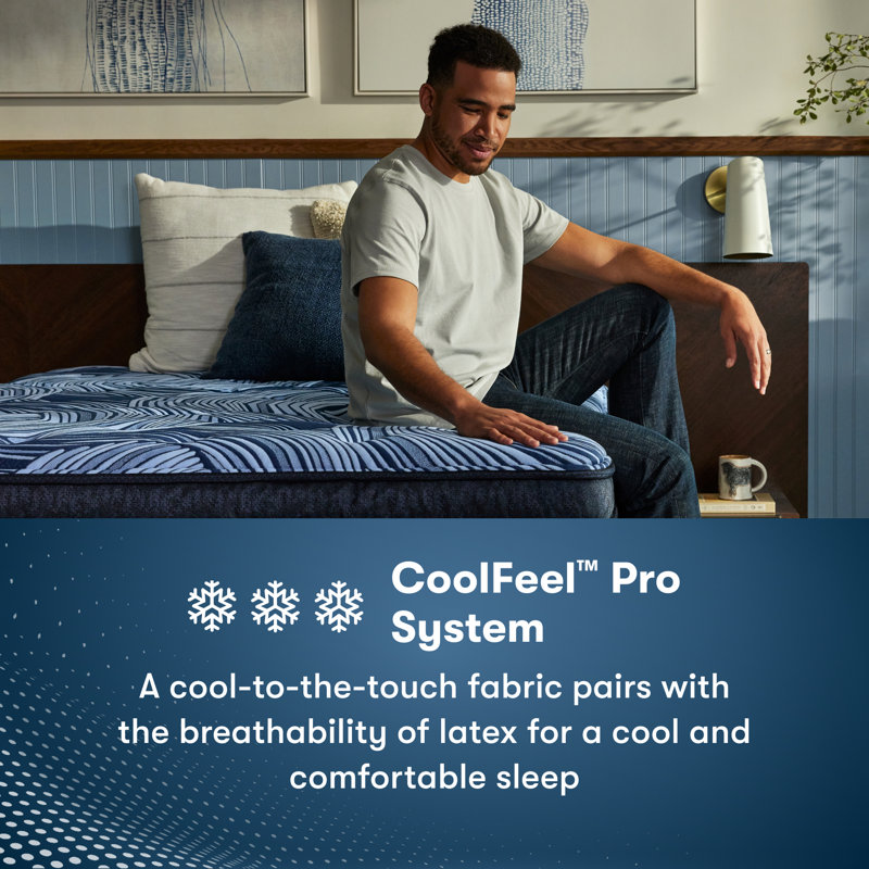 Perfect Sleeper Pro New Paris Medium 15" Latex Hybrid Mattress, Queen