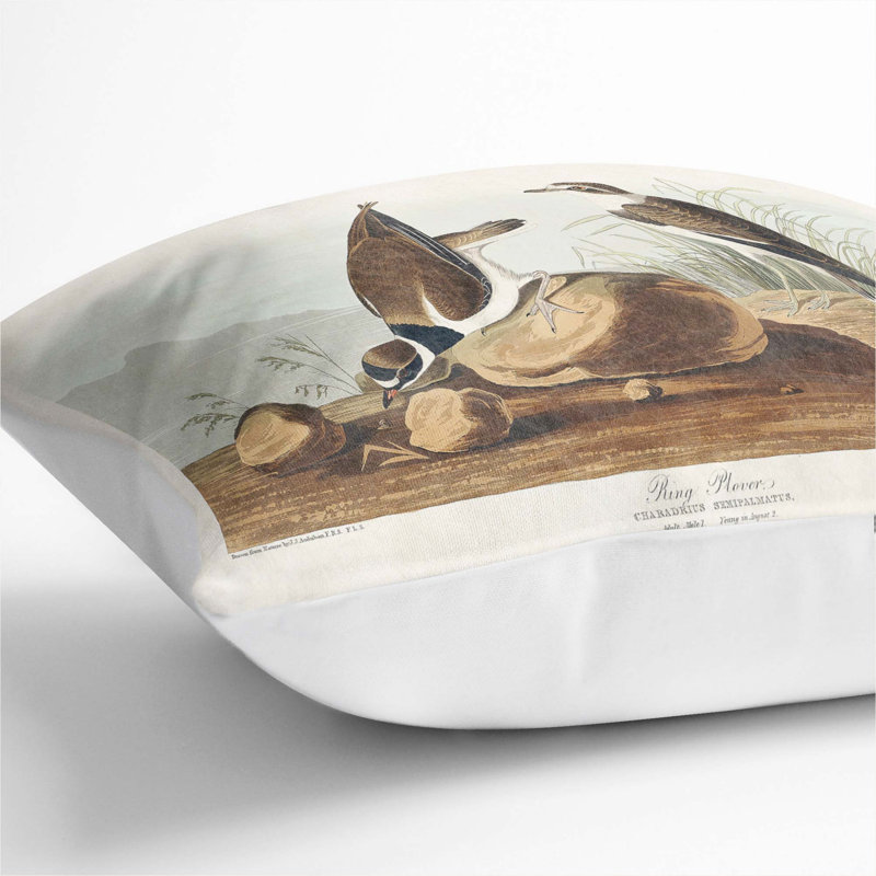 Square Throw Cushion, White, 55cm H x 55cm W x 20cm D