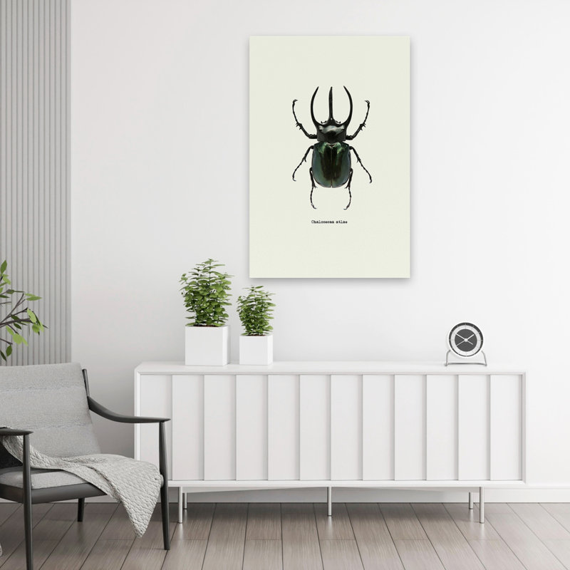 Coléoptère noir - art animaux et insectes, H 36 po x l 24 po