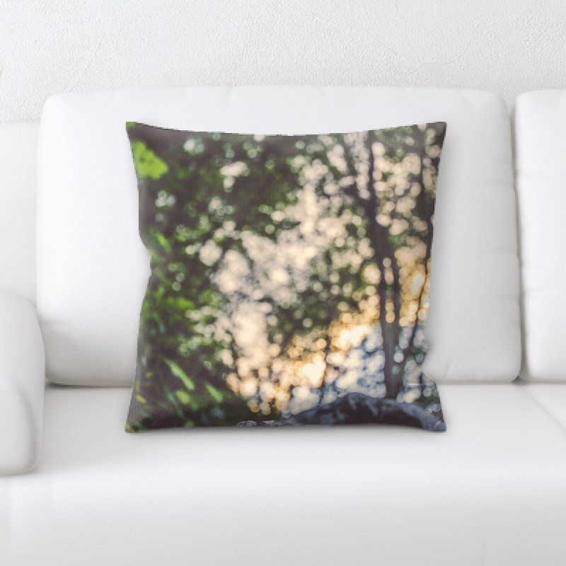 Coussin décoratif flou
