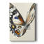 ANIMAUX Series CCCC - Gallery Cavas