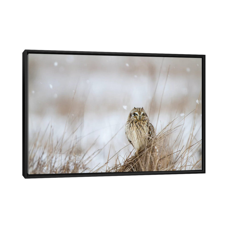 Prairie winter, impression sur toile, H 18 po x l 26 po x P 1,5 po, Toile avec cadre noir, Pas de tapis