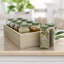 Caisses en bois brut, bacs de rangement, boîtes en bois, armoires