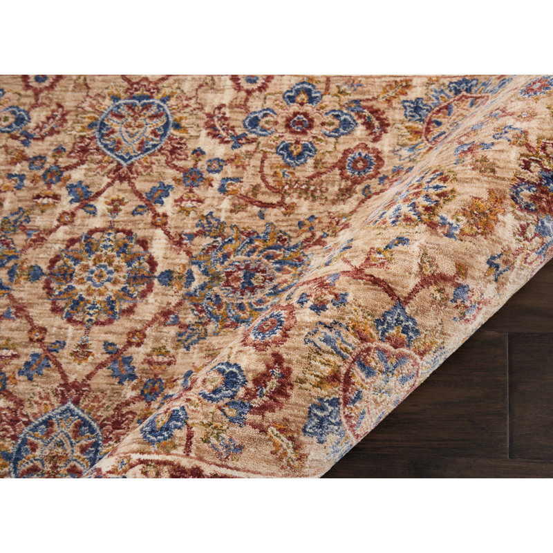Baumgartner Oriental Area Rug, Rectangle 91 x 152cm