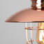 Penglai 26.5cm H Metal Novelty Pendant Shade ( Spider )-21655801-28711940