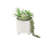 10.5'' Faux Succulent