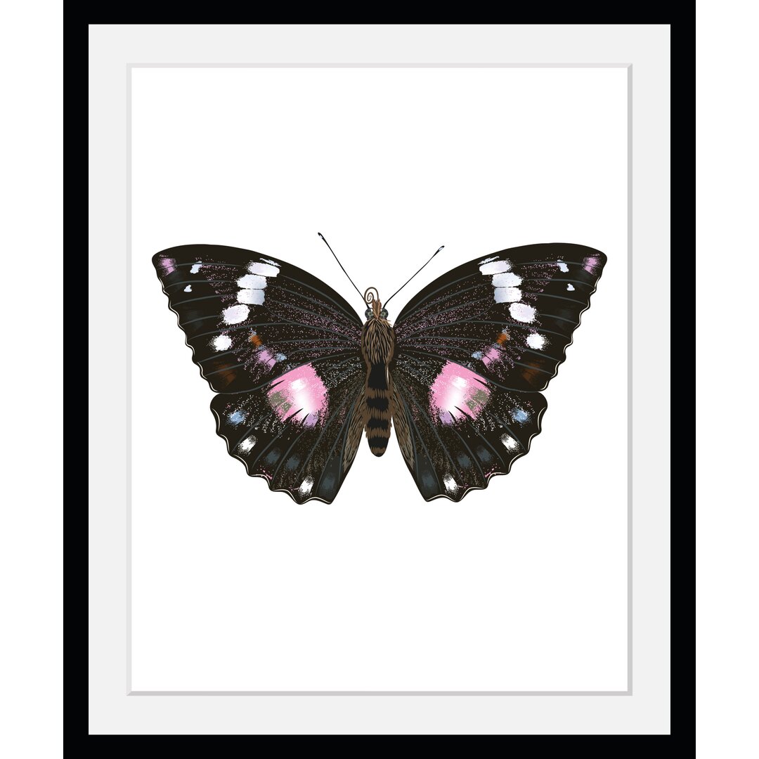 Gerahmter Grafikdruck Butterfly