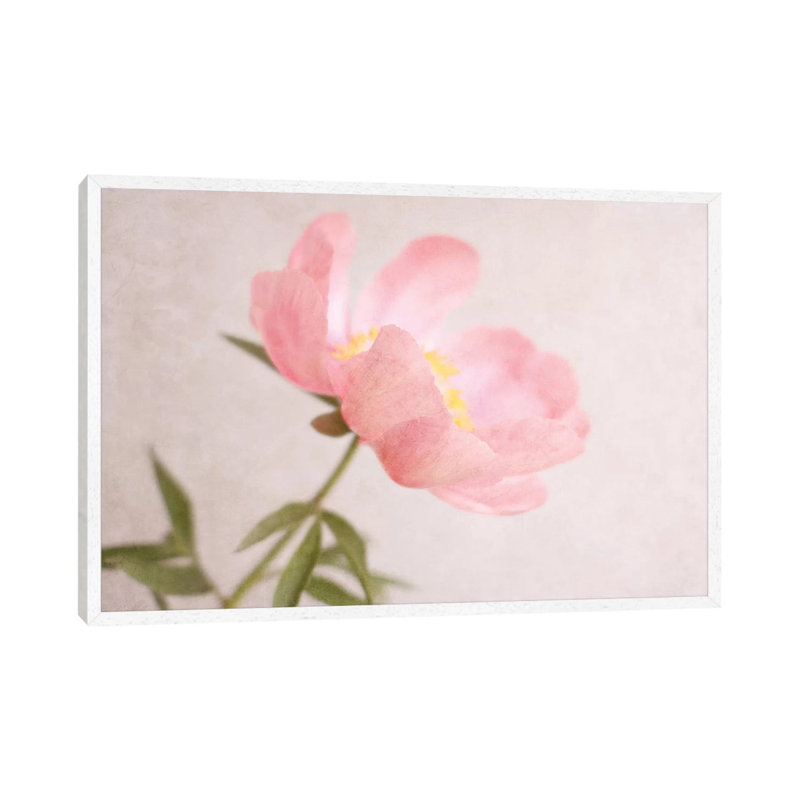 Soft Petals by Sarah Gardner - Gallery-Wrapped Canvas Giclée on Canvas, 66.04 cm H x 45.72 cm W, White Framed