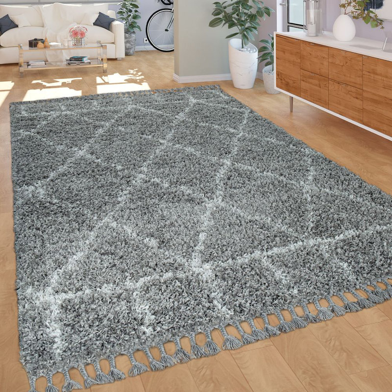 Mccollum Geometric Shag Area Rug, Rectangular 160 x 230cm