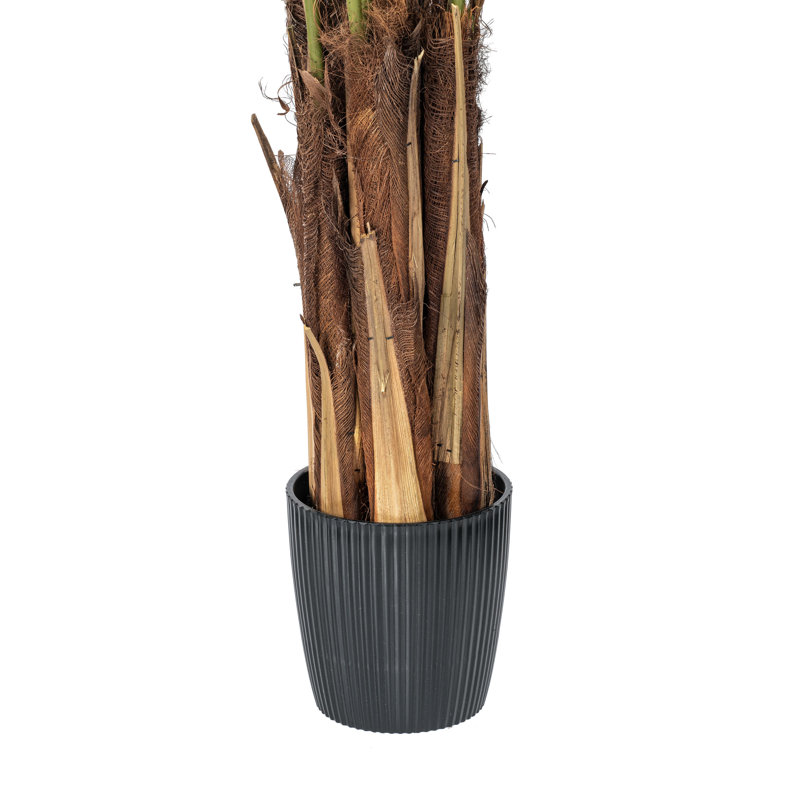 Tropical Oasis 6' Faux Areca Palm in Sturdy Black Planter