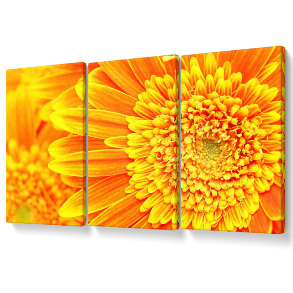 Ebern Designs Orange Yellow Gerbera Face - 3 Piece Wrapped Canvas Print ...