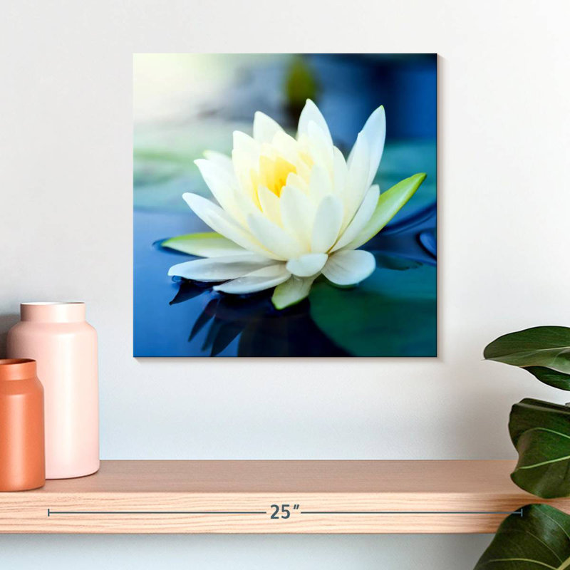 Harnek Lotus Splendor, H 16 po x l 16 po
