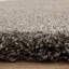 Taiwo Shaggy Taupe Area Rug-1964165654