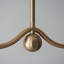 Santiago 1 - Light Shaded Chandelier-110000315