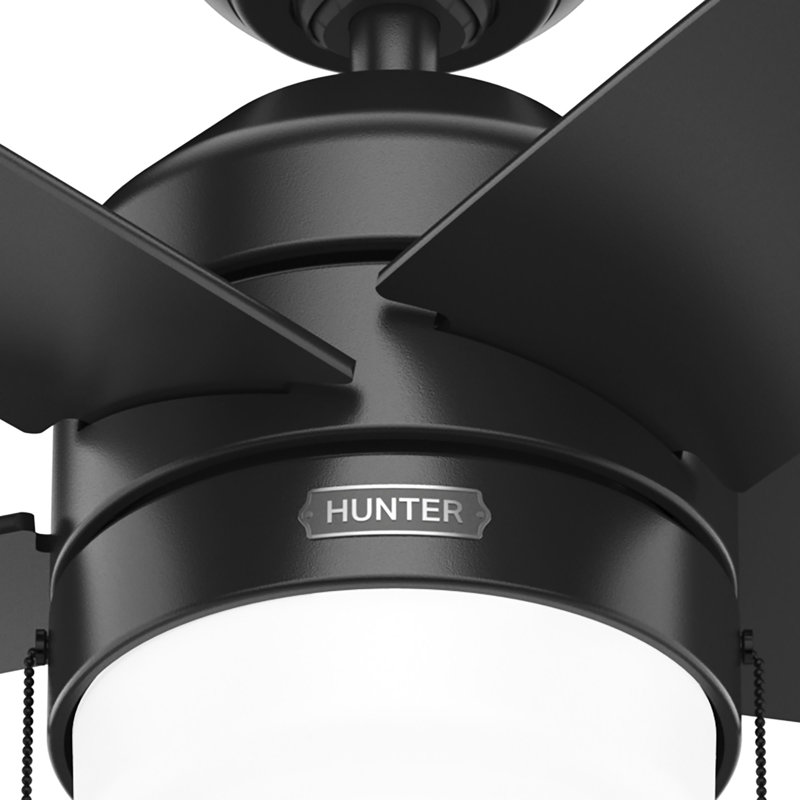 Bardot 52" 5 - Blade Ceiling Fan With Lights and Pull Chains, Matte Black
