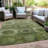 Machine Washable Indoor/Outdoor Xhevrie Aloe Rug-1975808395