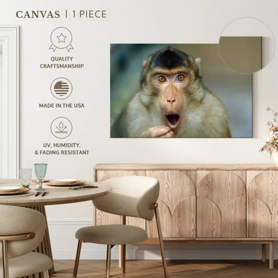 Brampt Monkey I