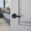 Reserve Contemporary Tube Hall/ Closet Lever-134167092