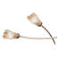 Kittinger 4 - Light Geometric Chandelier-32468428